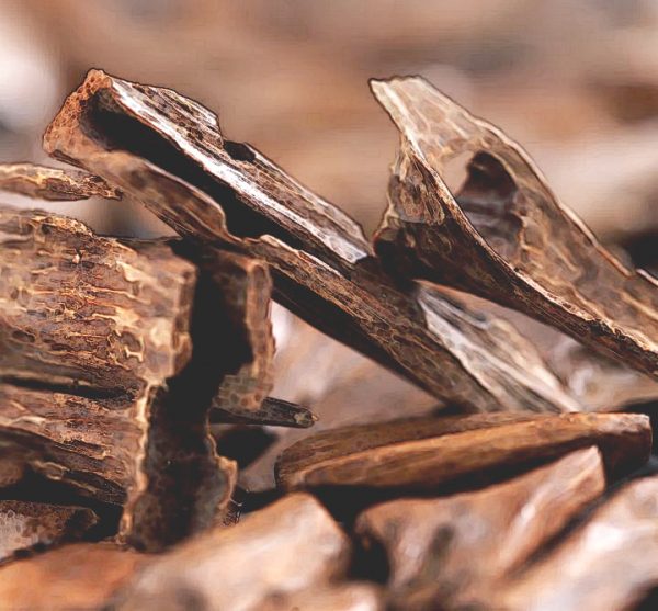 澳洲檀香 5ml 澳洲檀香 5ml